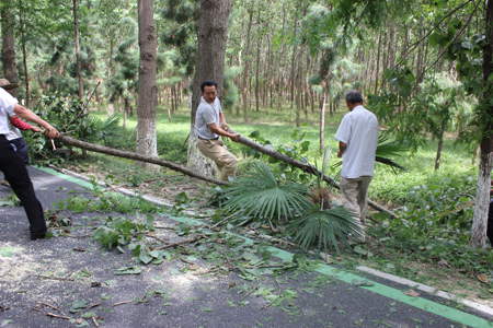 九游会老哥必备的交流社区_论坛帖吧