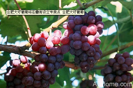 九游会老哥必备的交流社区_论坛帖吧