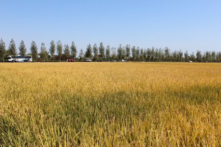 九游会老哥必备的交流社区_论坛帖吧