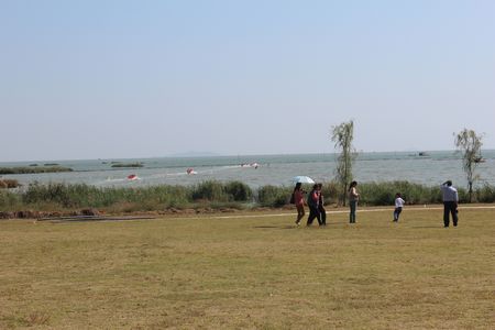 九游会老哥必备的交流社区_论坛帖吧