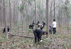 九游会老哥必备的交流社区_论坛帖吧