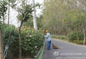 九游会老哥必备的交流社区_论坛帖吧