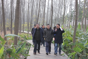 九游会老哥必备的交流社区_论坛帖吧