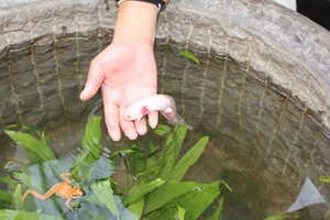 九游会老哥必备的交流社区_论坛帖吧