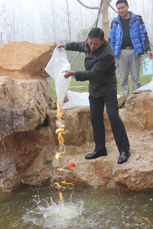 九游会老哥必备的交流社区_论坛帖吧