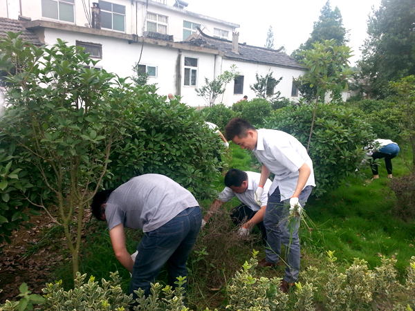 九游会老哥必备的交流社区_论坛帖吧