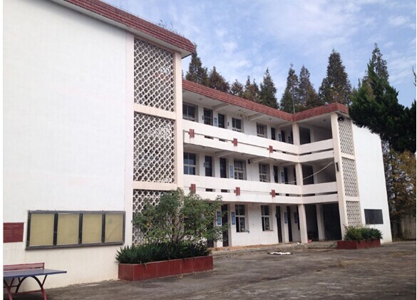 九游会老哥必备的交流社区_论坛帖吧