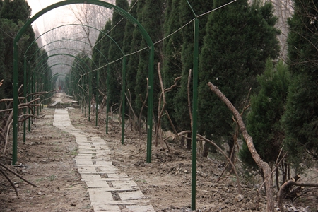 九游会老哥必备的交流社区_论坛帖吧