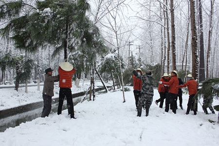 九游会老哥必备的交流社区_论坛帖吧