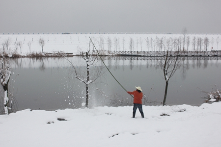 九游会老哥必备的交流社区_论坛帖吧