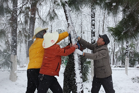 九游会老哥必备的交流社区_论坛帖吧