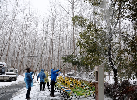 九游会老哥必备的交流社区_论坛帖吧