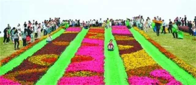 九游会老哥必备的交流社区_论坛帖吧