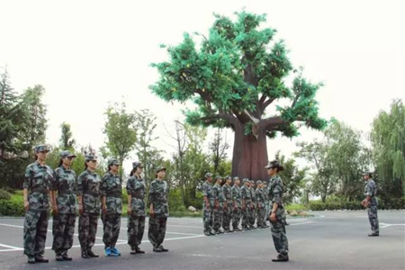 九游会老哥必备的交流社区_论坛帖吧