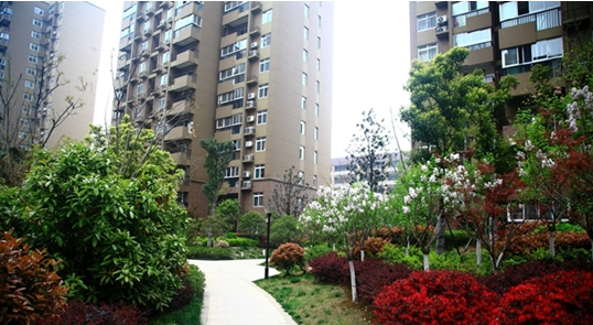 九游会老哥必备的交流社区_论坛帖吧