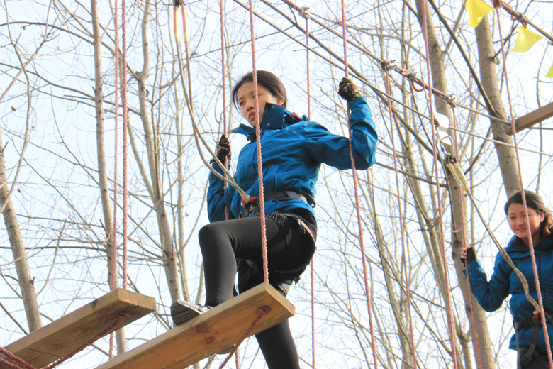 九游会老哥必备的交流社区_论坛帖吧