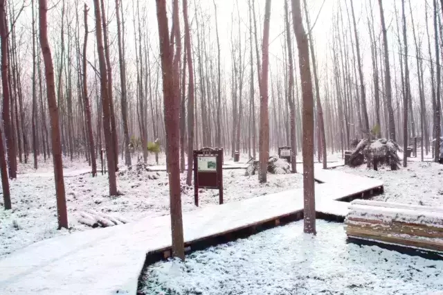 九游会老哥必备的交流社区_论坛帖吧