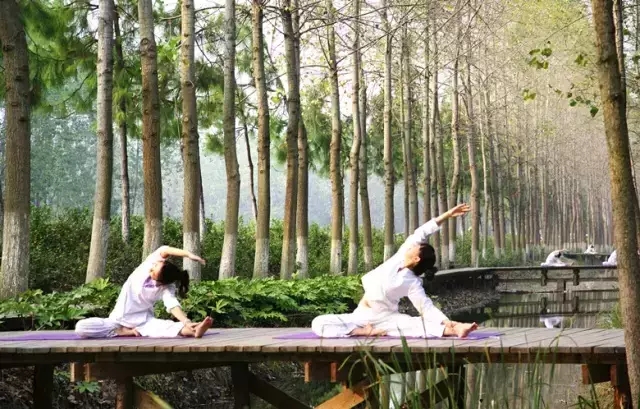 九游会老哥必备的交流社区_论坛帖吧