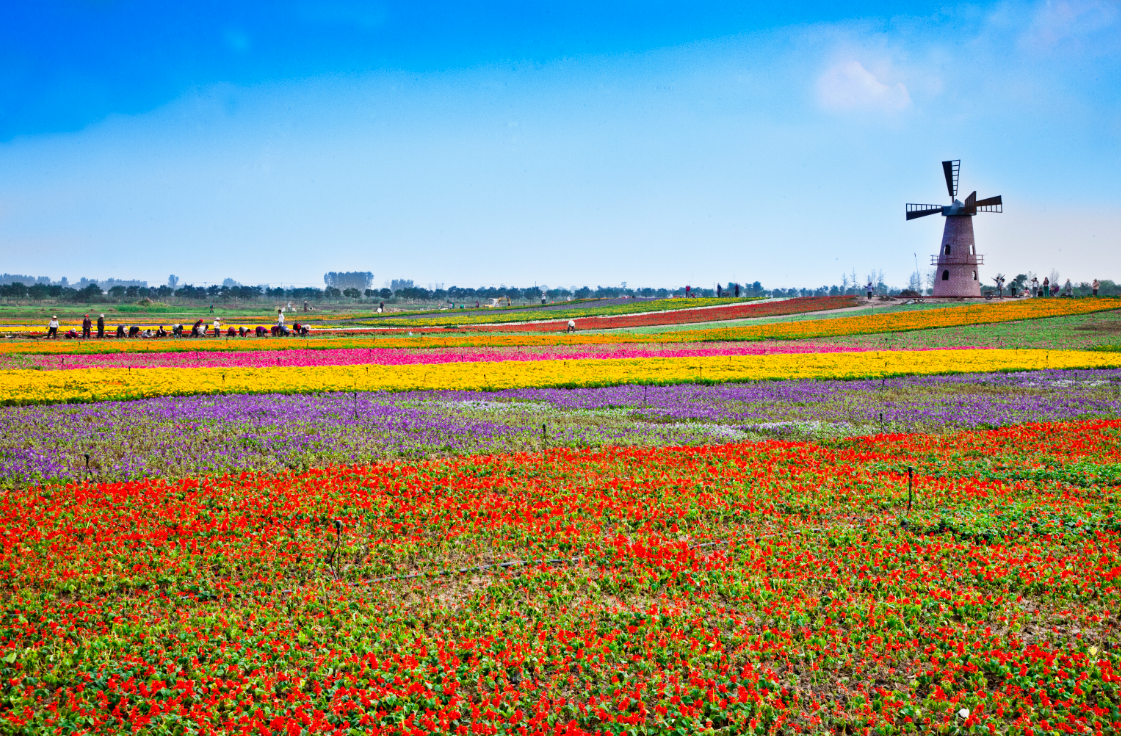 九游会老哥必备的交流社区_论坛帖吧