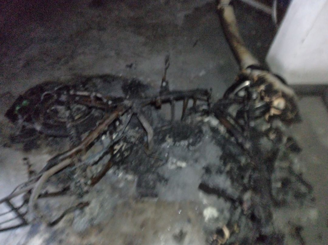 九游会老哥必备的交流社区_论坛帖吧