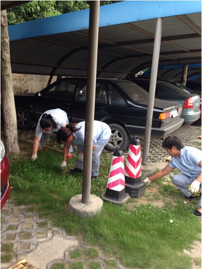 九游会老哥必备的交流社区_论坛帖吧