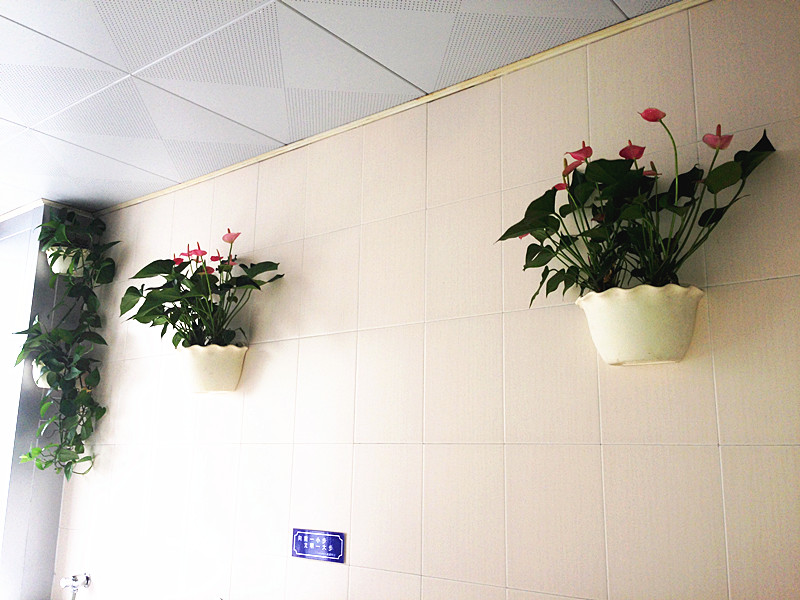 九游会老哥必备的交流社区_论坛帖吧