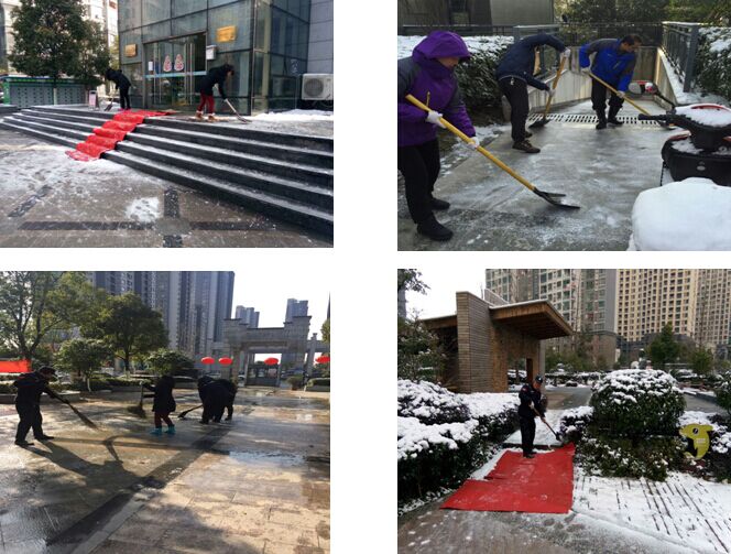 九游会老哥必备的交流社区_论坛帖吧