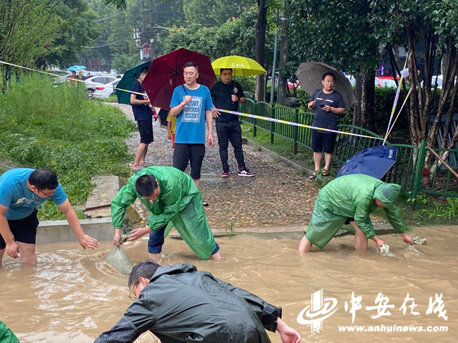 九游会老哥必备的交流社区_论坛帖吧