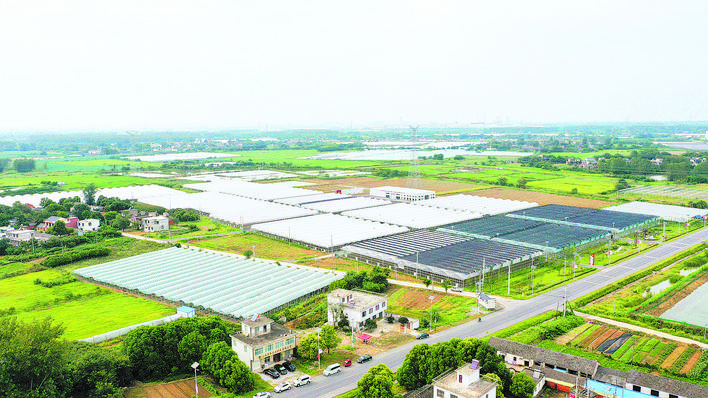 九游会老哥必备的交流社区_论坛帖吧