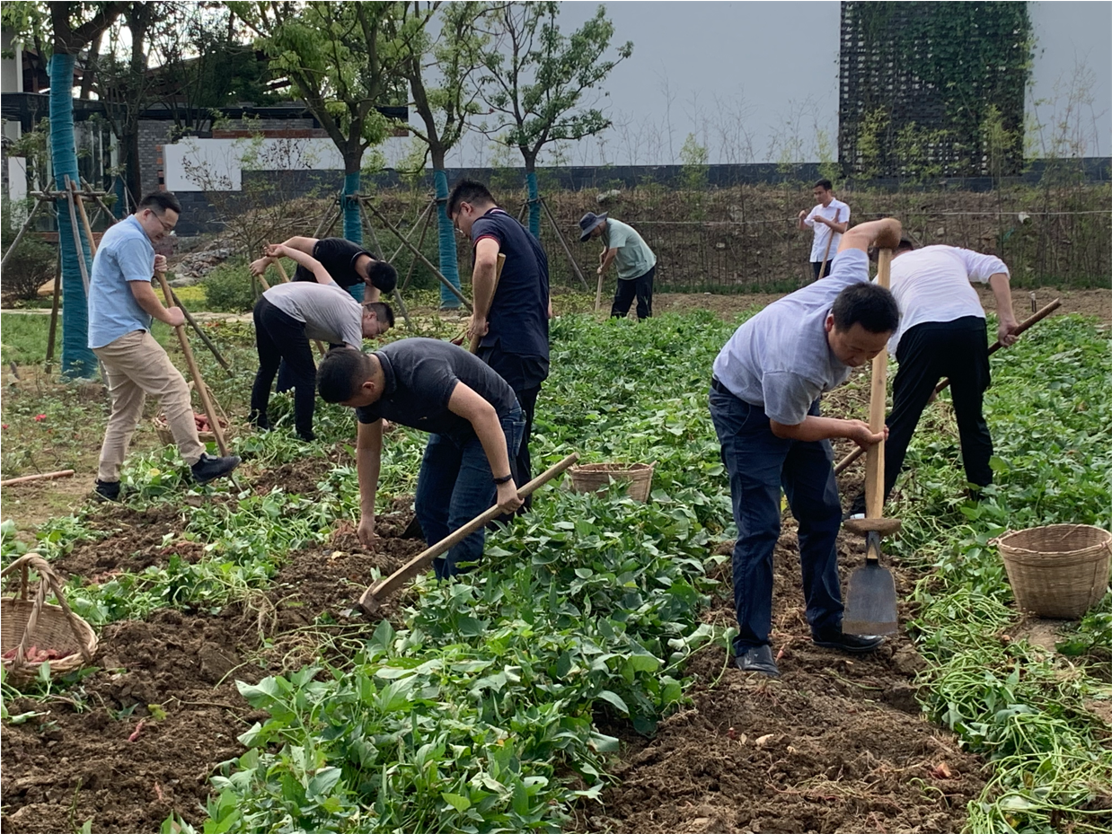 九游会老哥必备的交流社区_论坛帖吧