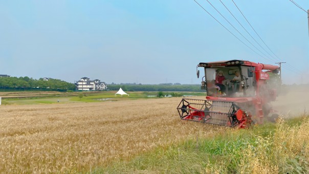 九游会老哥必备的交流社区_论坛帖吧