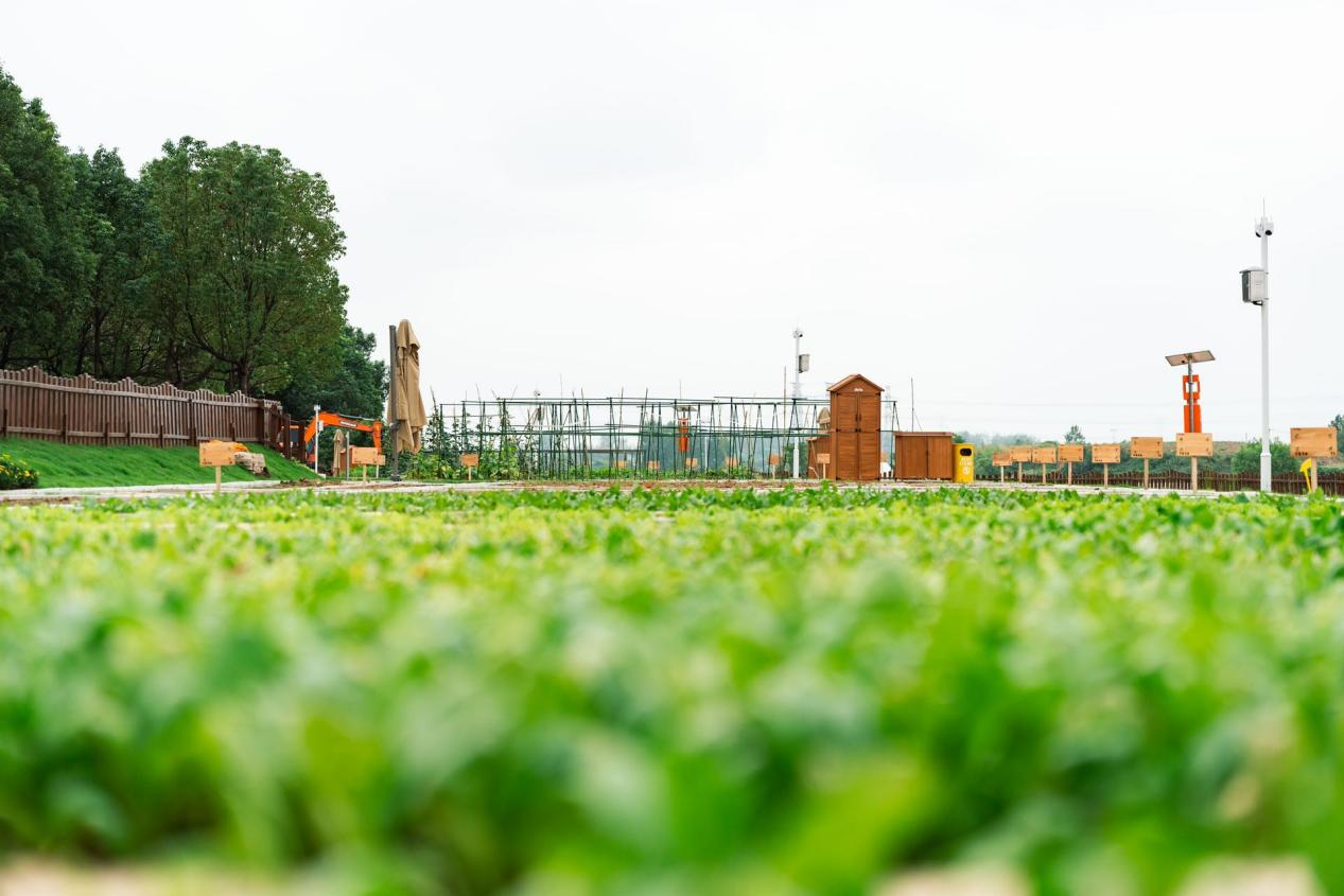 九游会老哥必备的交流社区_论坛帖吧