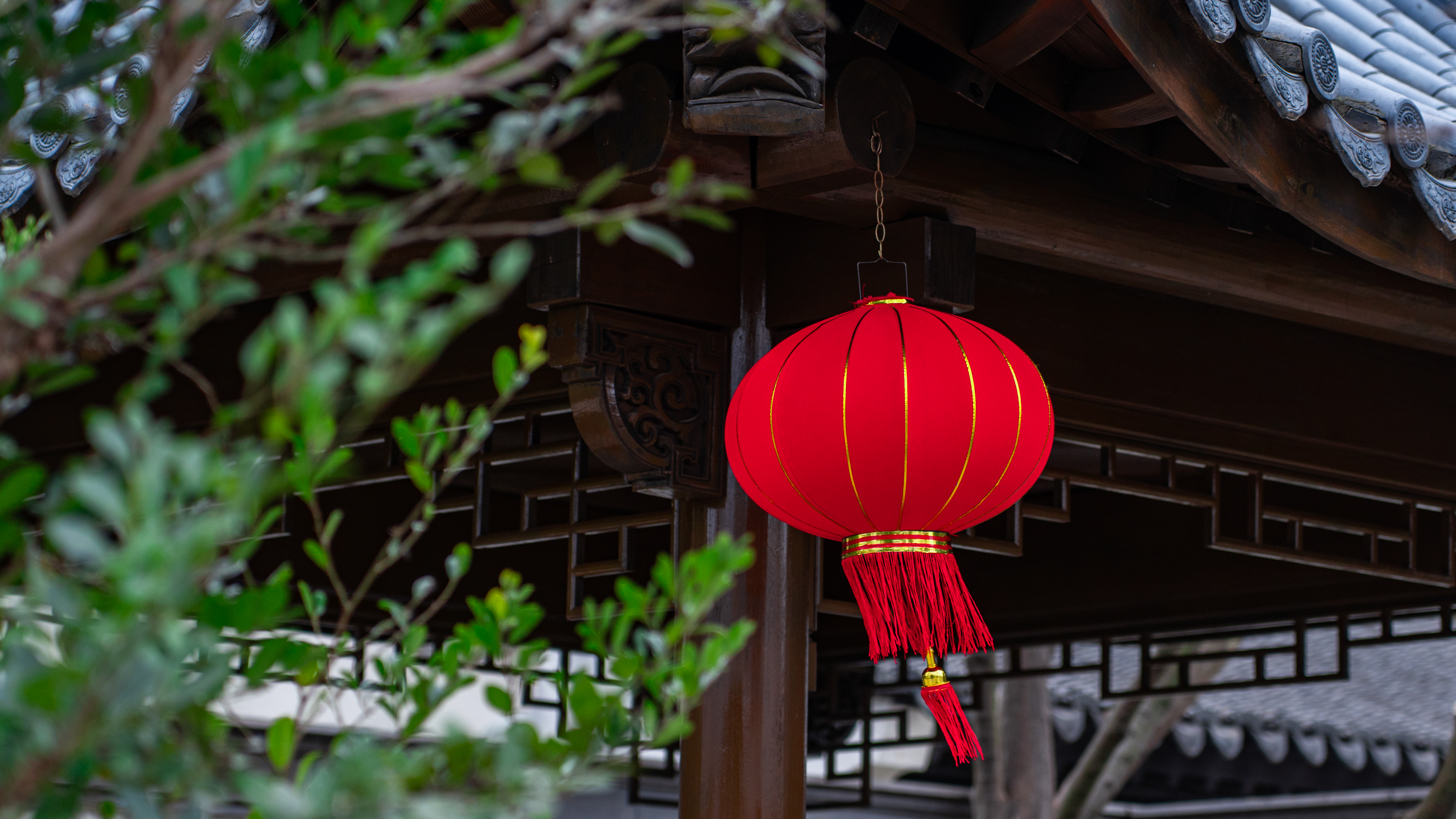 九游会老哥必备的交流社区_论坛帖吧